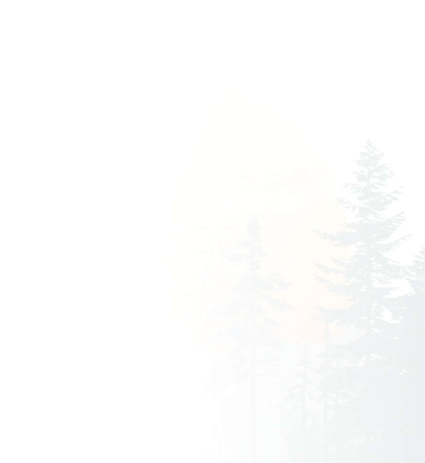 shape